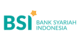Bank BSI Official logo